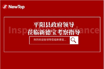 Berita Perusahaan|Wakil Hakim Kabupaten Kabupaten Pingyang Dan Rombongannya M...