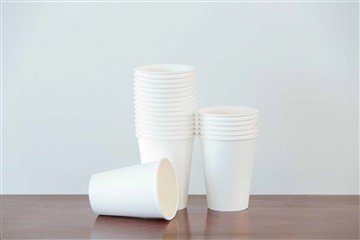 Develoment of pPaper Industry Develoment of pPaper Industry